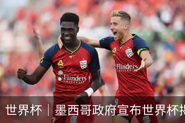 世界杯｜墨西哥政府宣布世界杯揭幕日停课并推行远程办公